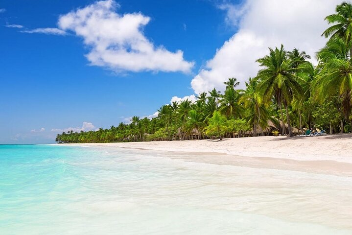 Saona Island Private Boat Tour with Lunch and Beverages - Photo 1 of 16